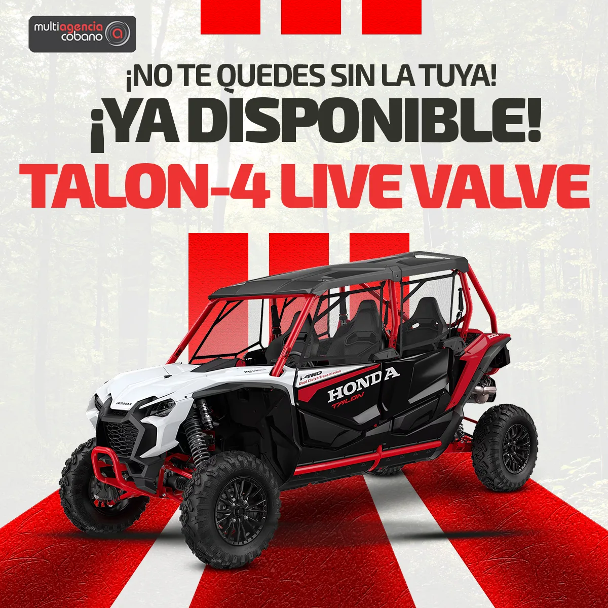 TALON ESPAÑOL
